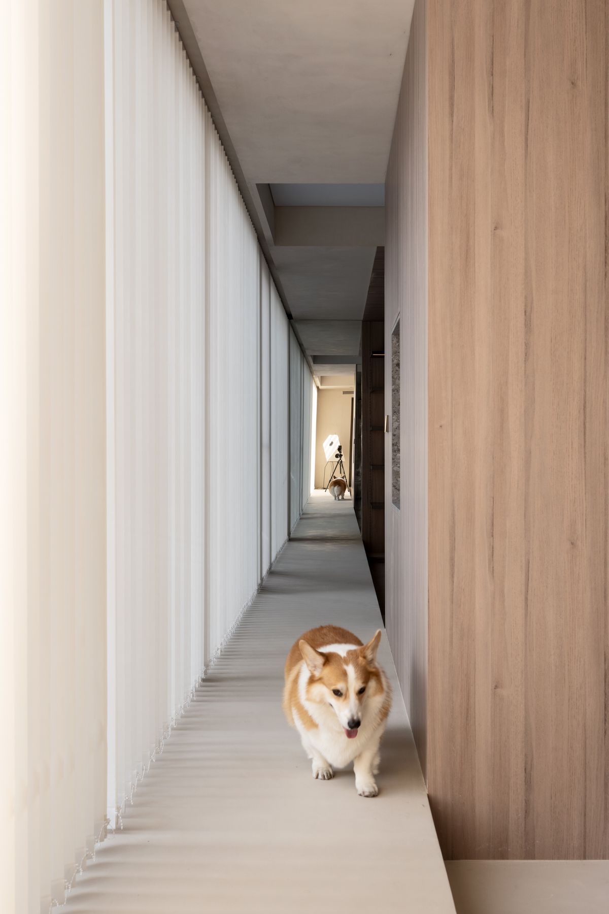 Oak corridor — 15